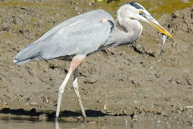 palo-verde-national-park-safari-boat-tour