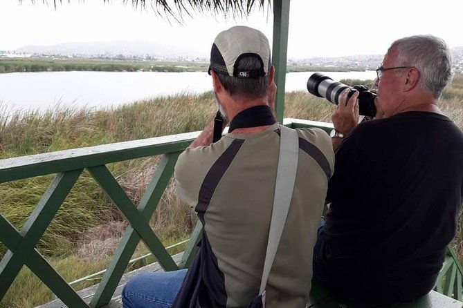 pantanos-de-villa-wildlife-refuge-tour-in-lima