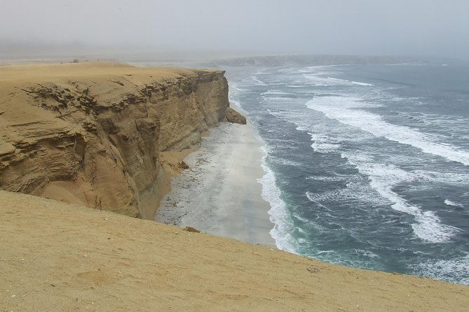 paracas-fullday-ballestas-islands-and-national-park-in-minibuggy