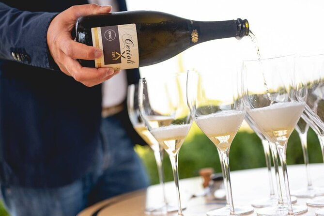 parma-hills-and-wine-tasting-with-food-platter