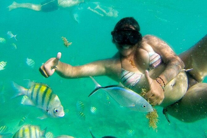party-boat-private-groups-snorkeling-open-bar