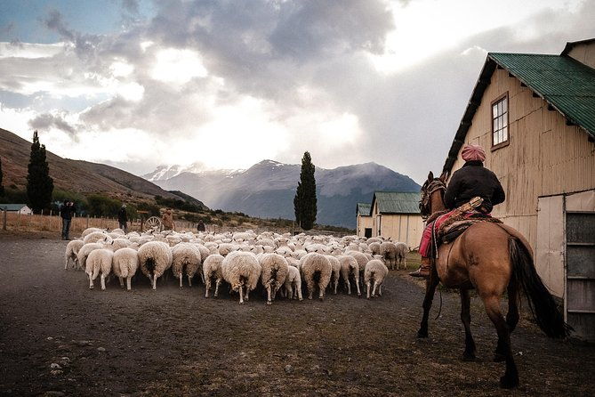 patagonian-ranch-nibepo-aike-adventure-with-horseback-riding
