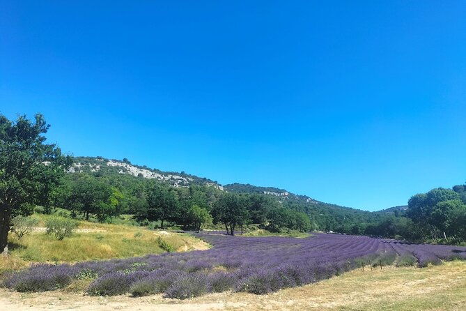 pearls-of-luberon-gordes-rousillon-senanque-private-trip