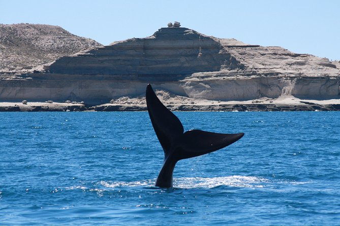 peninsula-valdes-estancia-san-lorenzo-full-day-tour