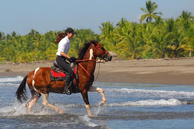 personalized-beach-adventure-near-jaco