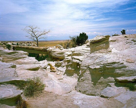 petrified-forest-national-park-self-guided-driving-audio-tour