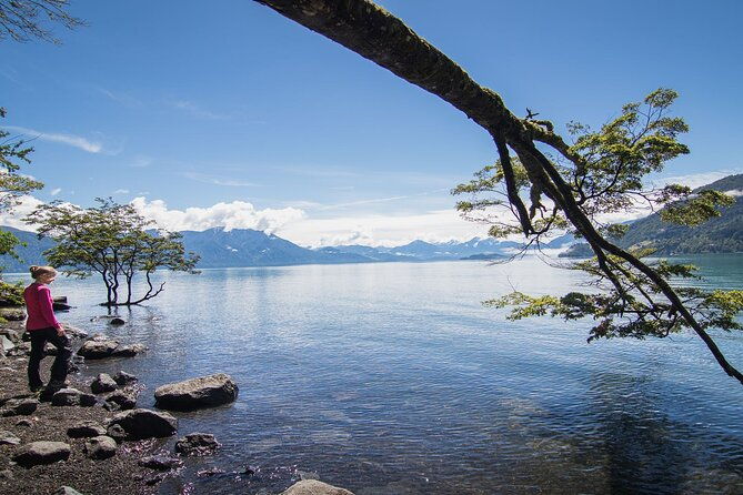petrohue-falls-and-osorno-volcano-bike-tour