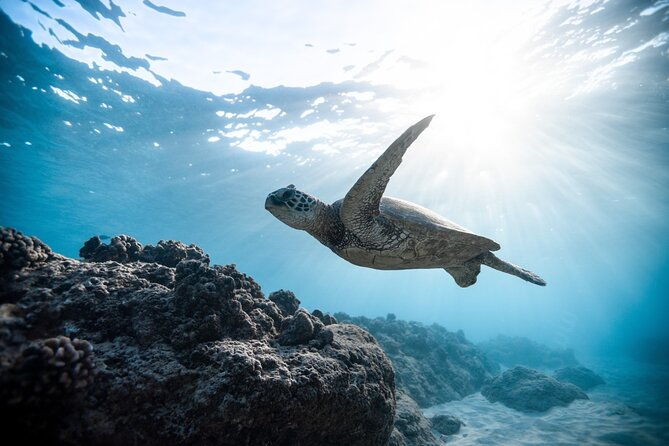 playa-venao-island-snorkeling-tour