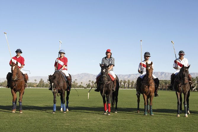 polo-match-bbq-and-lesson-day-trip-from-buenos-aires