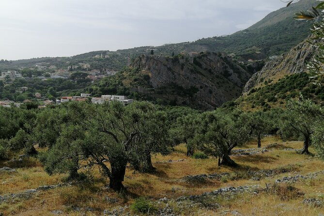 port-of-bar-tour-explore-adriatic-area-bar-and-ulcinj-tour