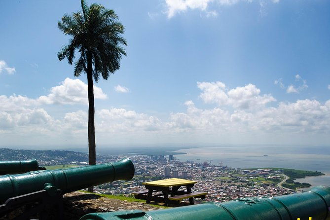port-of-spain-and-fort-george-sightseeing-tour