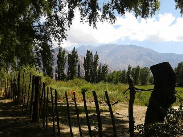 portillo-and-laguna-del-inca-tour