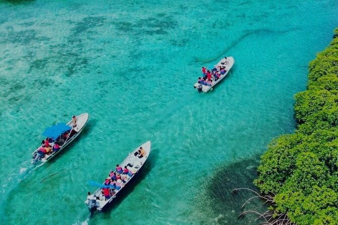 portobelo-and-mamey-island-trip-with-lunch-included