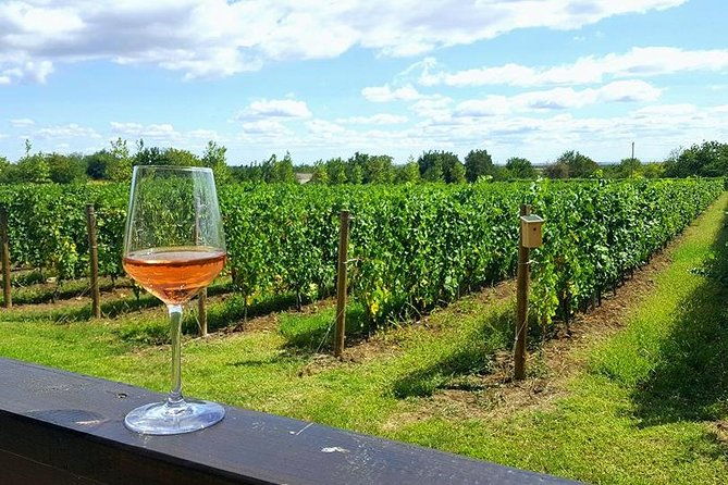 prahova-valley-wine-tour-from-bucharest-small-group