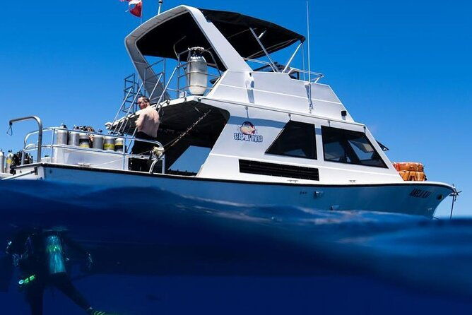 premium-afternoon-scuba-charter-for-all-certified-diver-levels