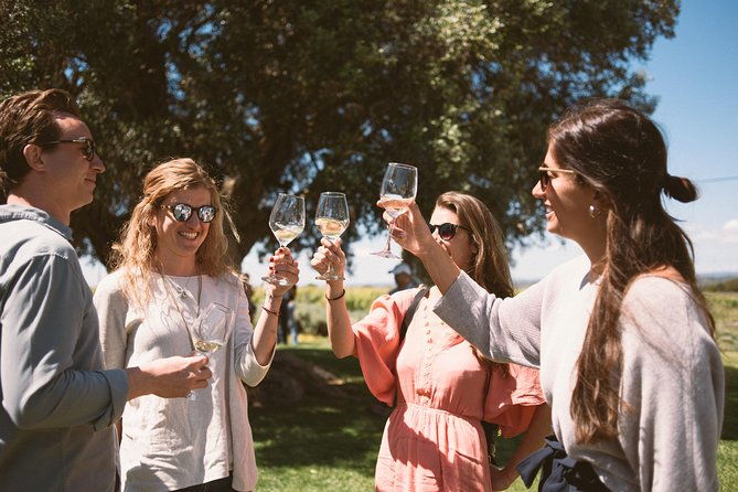 premium-vineyard-tour-tasting