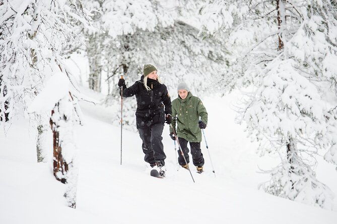 premium-wilderness-skiing-in-pyha-luosto-national-park