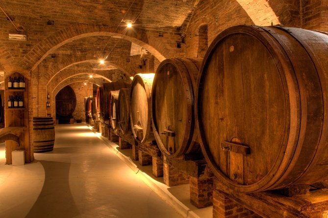 primitivo-and-negroamaro-wine-tour-a-visit-to-two-wineries-and-typical-lunch-from-lecce