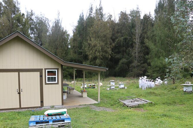 private-2-hour-beekeeping-classroom-tour-in-honokaa
