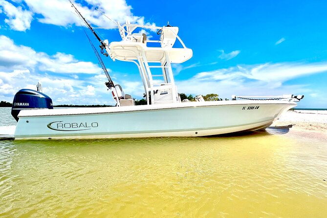 private-2-hour-dolphin-eco-tour-marco-island-fl