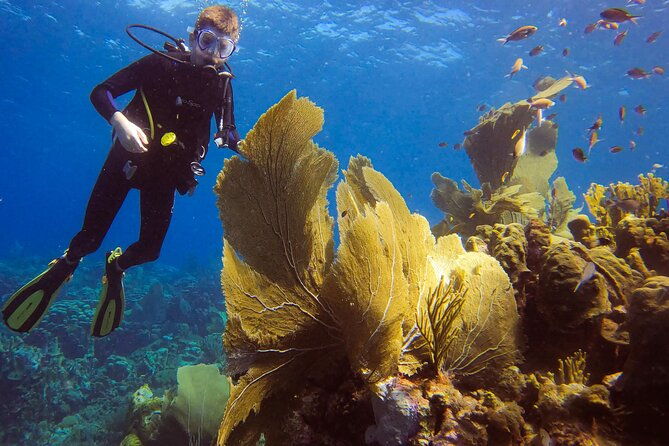 private-2-tank-guided-experience-in-curacao-for-certified-divers