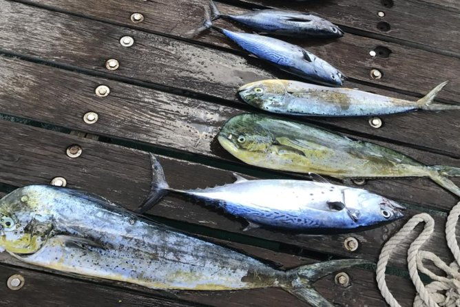 private-afternoon-fishing-charter-in-aruba