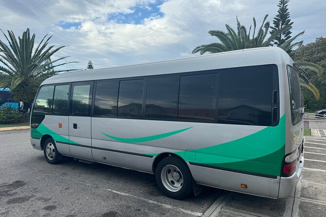 private-airport-transfer-from-mbj-to-ocean-eden-bay