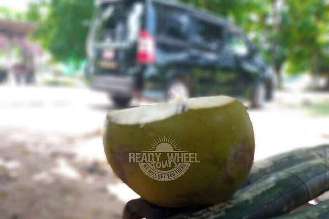 private-airport-transfer-to-negril-from-montego-bay-w-local-guide