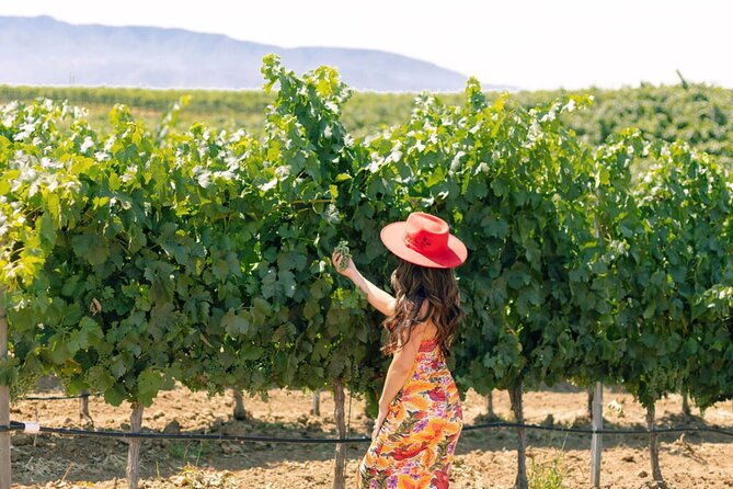 private-all-inclusive-santa-ynez-wine-tour-from-santa-barbara