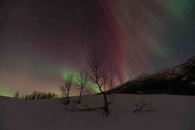 private-aurora-hunting-with-professional-photographer-from-alta