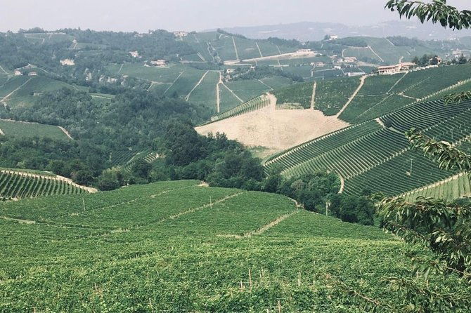 private-barolo-wine-tour-with-winemaker-from-turin