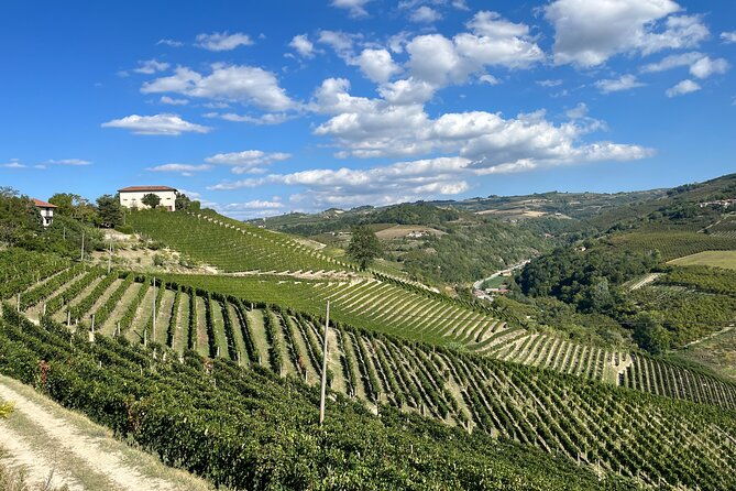 private-barolo-wine-tour-with-winemaker