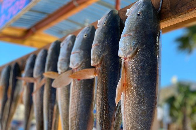private-bay-fishing-south-padre-island