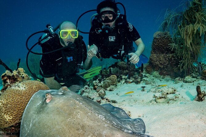 private-bayahibe-3-tank-diving-with-lunch-from-punta-cana