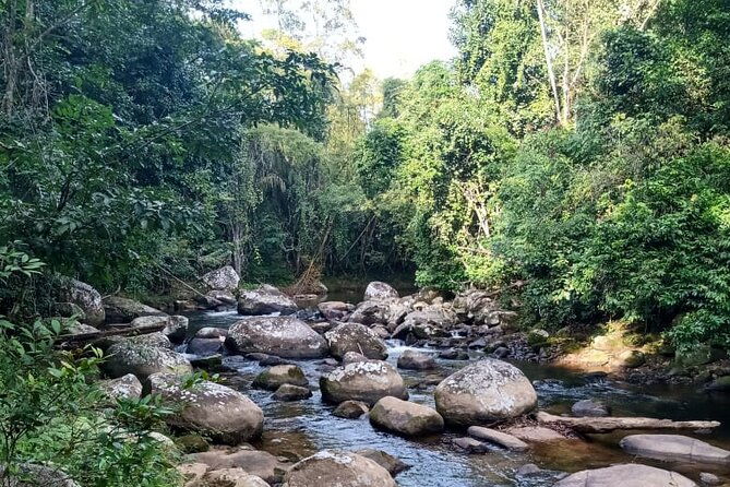 private-bike-tour-in-paraty