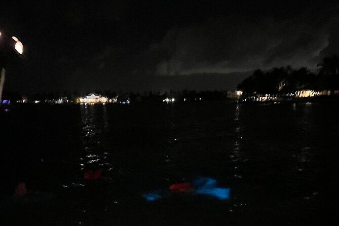 private-bioluminescence-tour