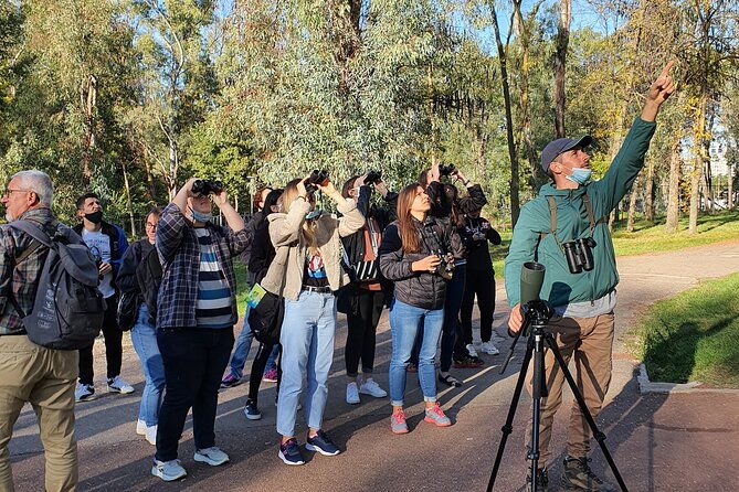 private-birding-tour-in-albania