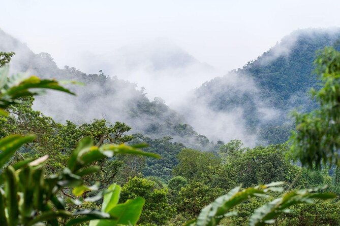 private-birding-tour-in-mindo-cloud-forest-middle-of-the-world