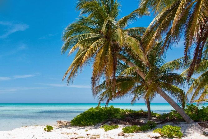 private-boat-charter-in-cayman-islands
