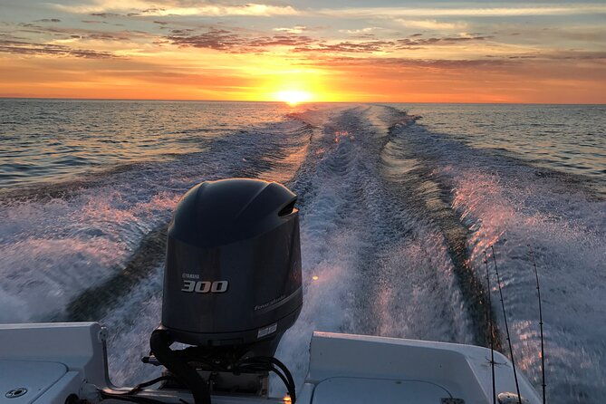 private-boat-offering-dolphin-watching-island-excursions-and-nature-tours-2