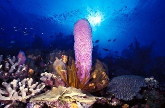 private-boat-to-soufriere-west-coast-for-swimming-snorkeling-beach-relaxation