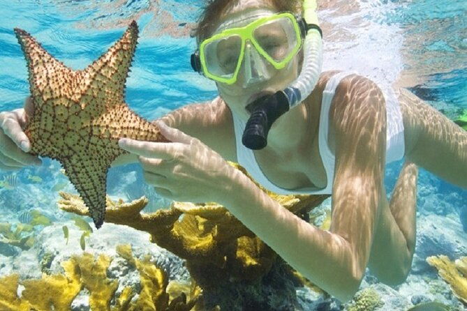 private-boonze-cruise-and-snorkeling-at-punta-cana