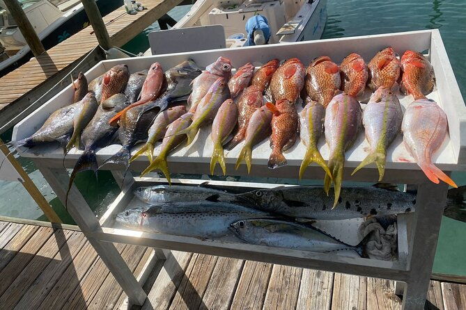 private-bottom-fishing-charter-3-4-day-6hron-shady-grady