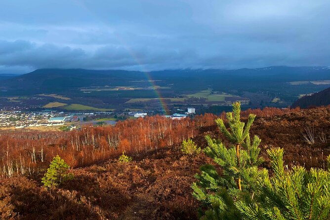 private-cairngorm-national-park-tour