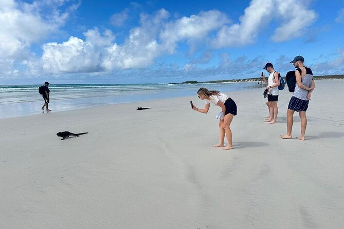 private-charles-darwin-station-tour-tortuga-bay-beach-with-lunch