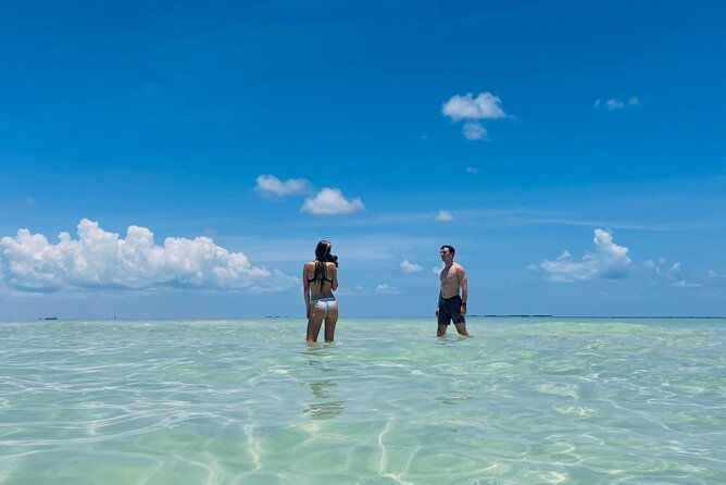 private-charter-6-passenger-sandbar-snorkel-dolphins