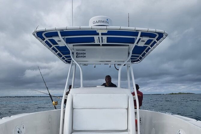 private-charter-for-snorkeling-swimming-pigs-turtles-fishing