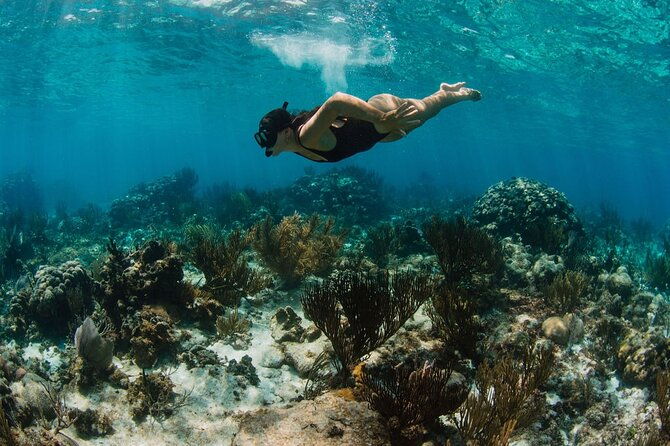 private-charter-reef-fishing-stingray-city-snorkel-mangroves