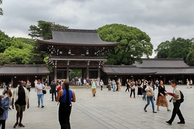 private-chartered-taxi-tokyo-tour-with-certified-japanese-guide