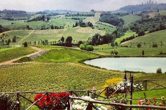 private-chianti-classico-tour-with-wine-and-food-tasting-in-a-historic-estate